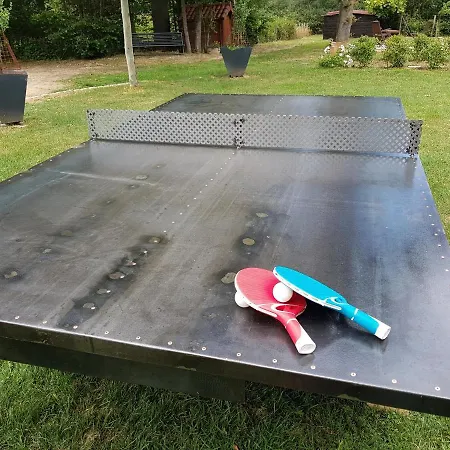 Chateau Des Perichons 4* Poncins