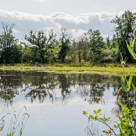 Chateau Des Perichons Poncins