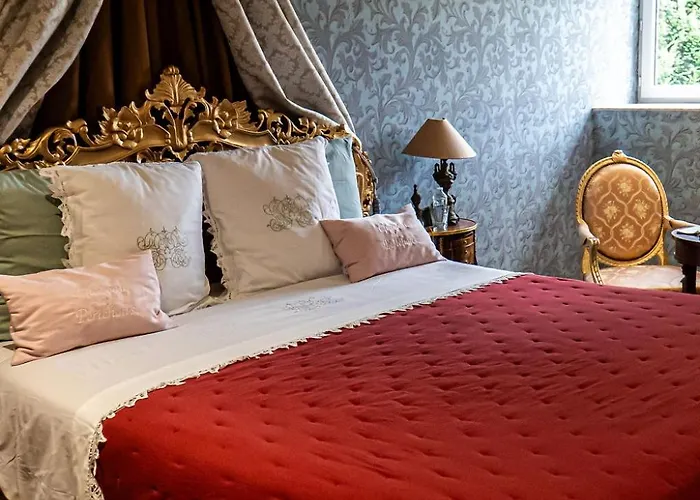 Chateau Des Perichons 4*
